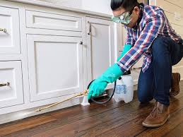 Real Estate Pest Inspections in Mila Doce, TX